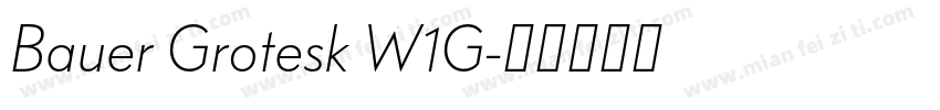 Bauer Grotesk W1G字体转换